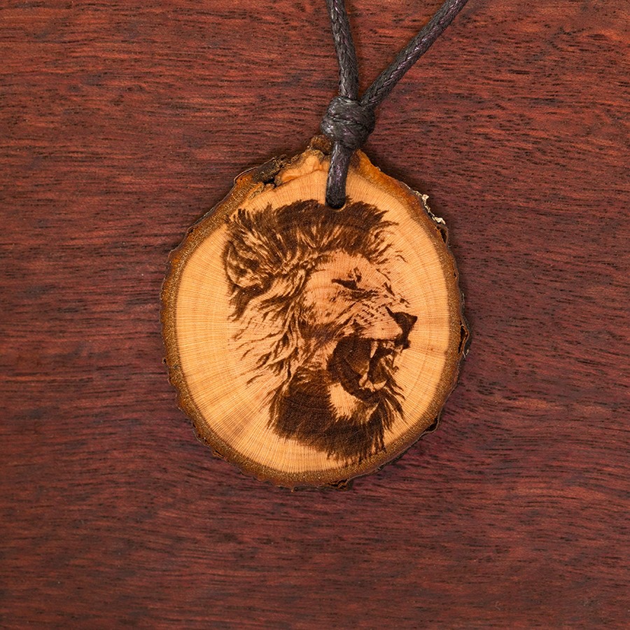 Löwe 2  Holz Sonnenbrillen